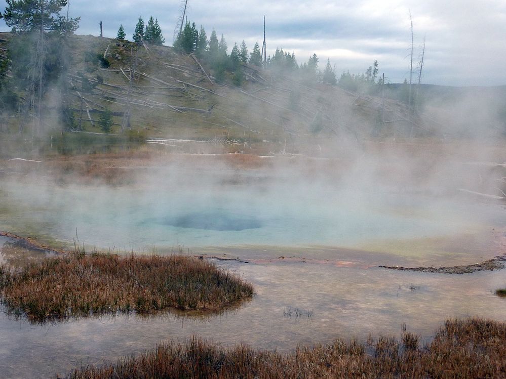 Yellowstone Old faithfull et ses environs (95).JPG